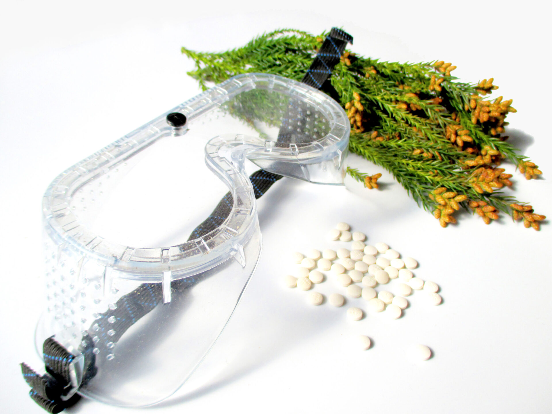 花粉と花粉対策眼鏡