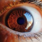 結膜下出血を早く治すための適切な処置を決定するために、眼科医が目の状態を詳しく診察・確認している様子